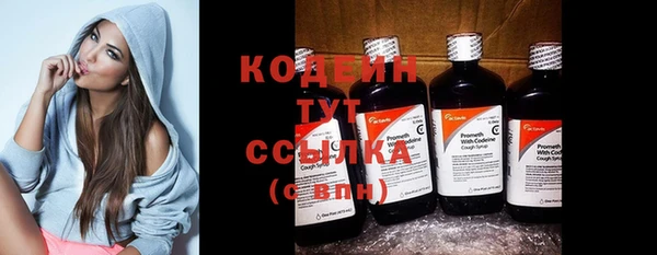 дживик Богородицк