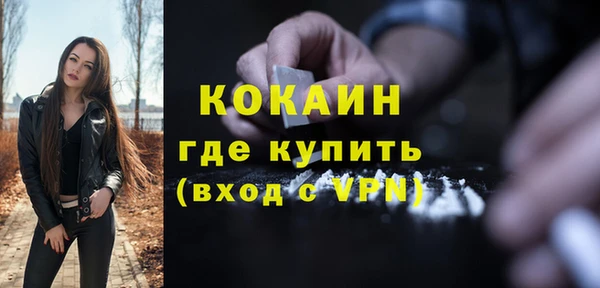 дживик Богородицк