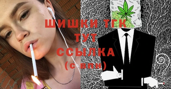 дурь Богданович