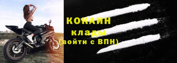 дживик Богородицк