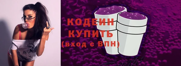 дживик Богородицк