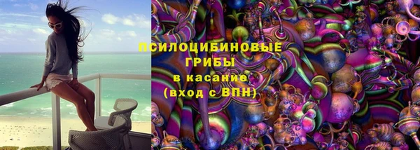 дурь Богданович