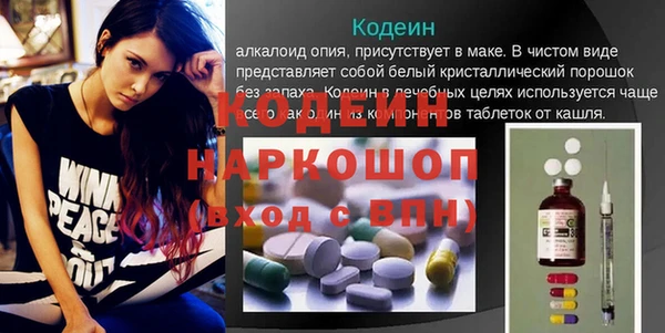 дживик Богородицк