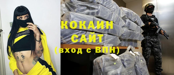 дживик Богородицк