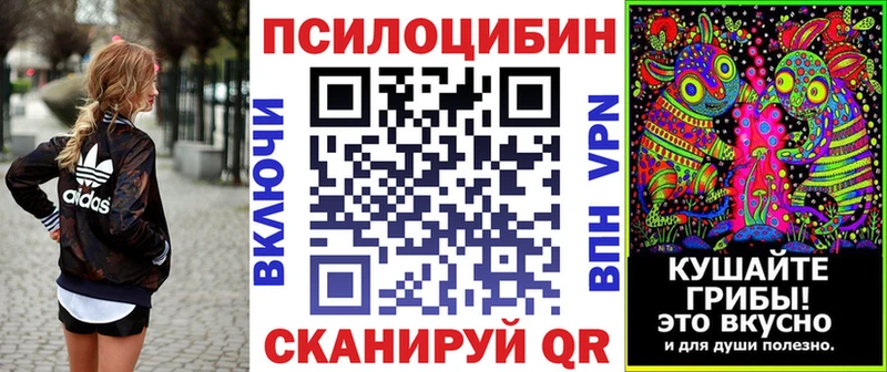 кракен как зайти  Наволоки  Псилоцибиновые грибы Psilocybine cubensis  магазин   